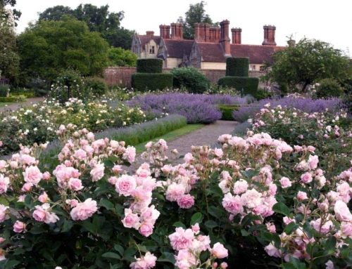 Borde Hill Gardens -8 Miles