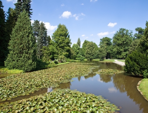 Leonardslee Lakes & Gardens